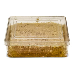 Irani Honey With Comb | ایرانی شہد چھتے کے ساتھ