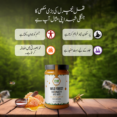 Benefits Of Big Bee Honey