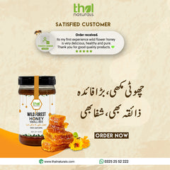 100% Pure Wild Honey Small Bee Export Quality / جنگلی شہد چھوٹی مکھی
