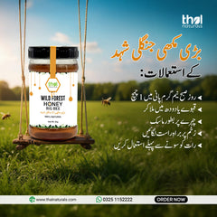 Pure Wild Forest Honey Big Bee / جنگلی شہد  بڑی مکھی